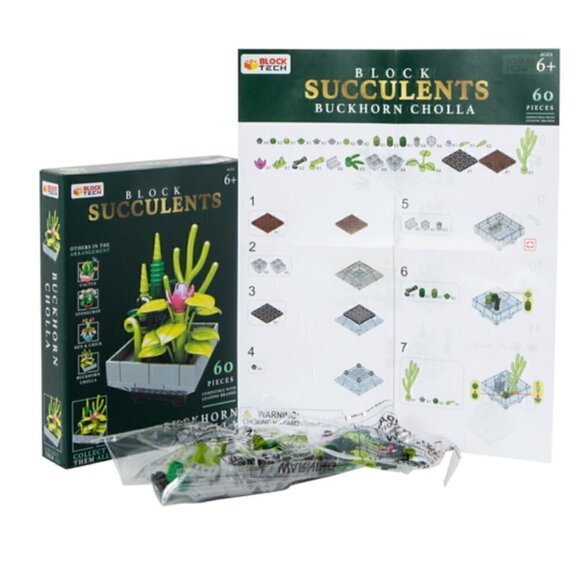 Block Tech Succulents Block Set Buckhorn Cholla NWT Building Activity Toy Plant - Picture 4 of 6